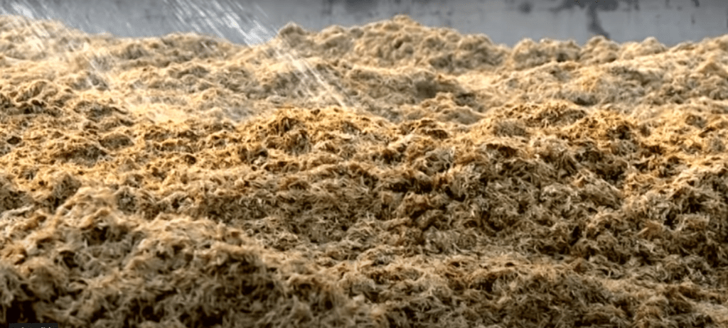 wetting of wheat straw