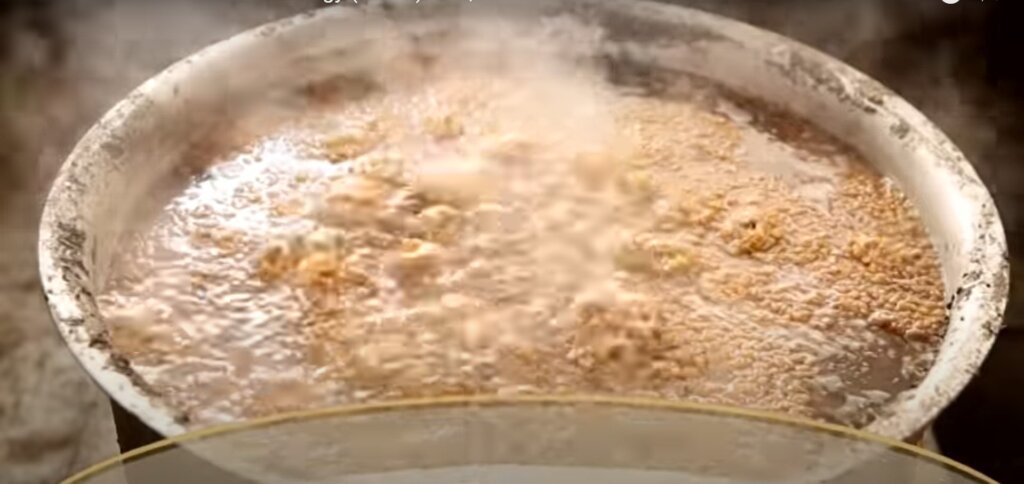 boiling wheat grains