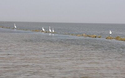 A one-day study tour to Narara- Marine National Park