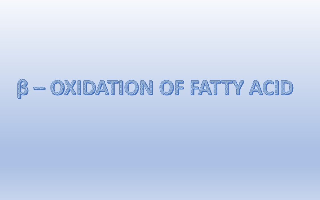 β – OXIDATION OF FATTY ACID