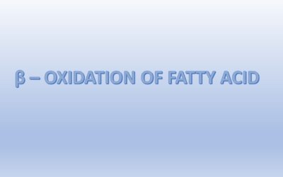 β – OXIDATION OF FATTY ACID